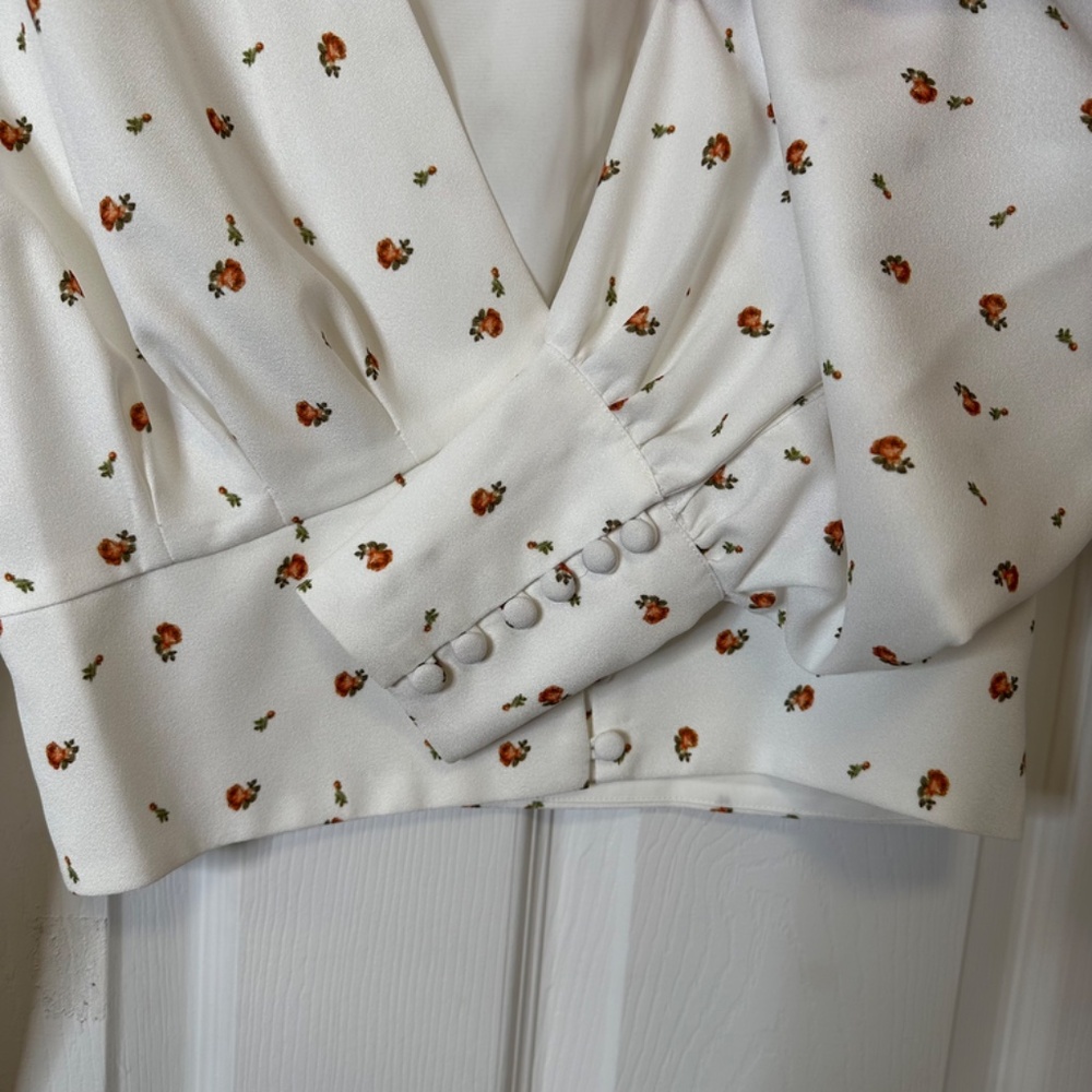 Backyard Roses Deep V Rose Blouse - Picture 6 of 9